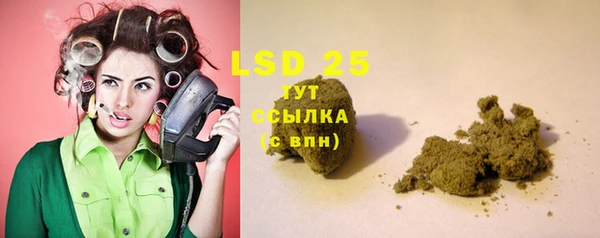 шишки Новозыбков