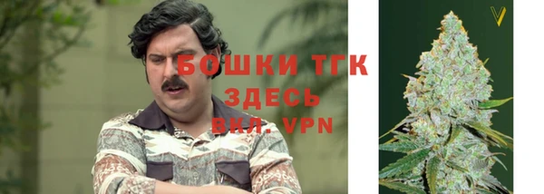шишки Новозыбков