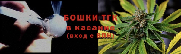 шишки Новозыбков