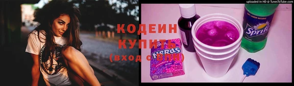 шишки Новозыбков
