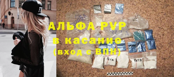 шишки Новозыбков