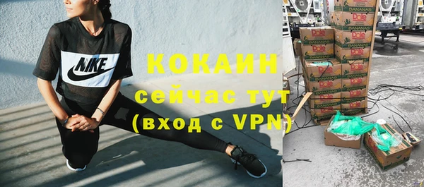 шишки Новозыбков