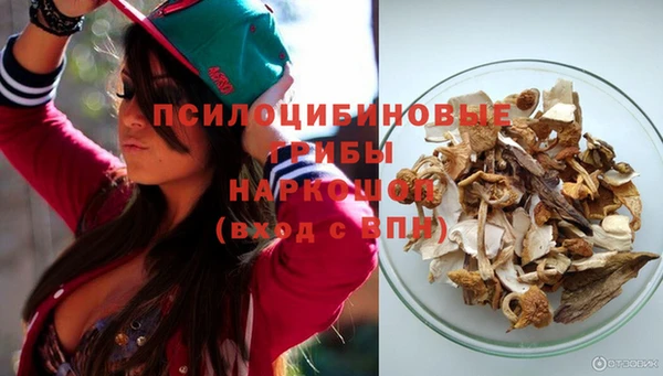 шишки Новозыбков