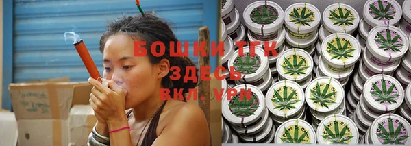 шишки Новозыбков
