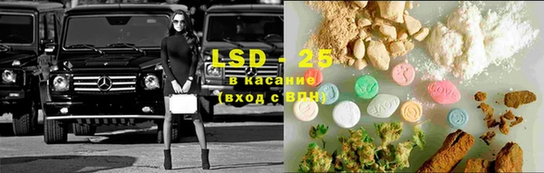 шишки Новозыбков