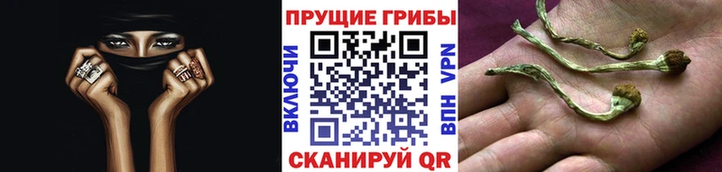Псилоцибиновые грибы ЛСД  это формула  Камбарка  кракен как зайти 
