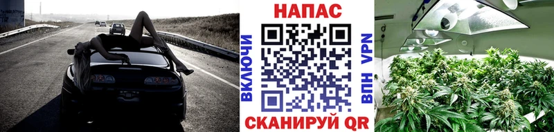 Бошки Шишки ГИДРОПОН  Камбарка 